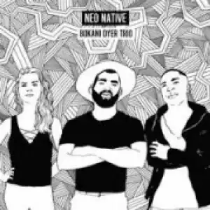 Bokani Dyer Trio - Neo Native